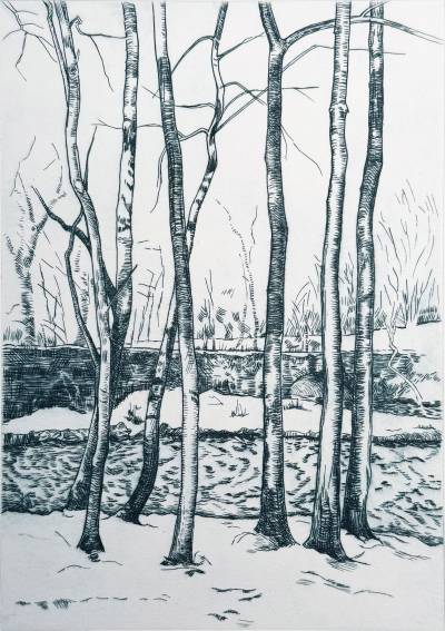 Seven Trees Standing in Snow