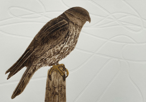 Merlin, collagraph with embossing.